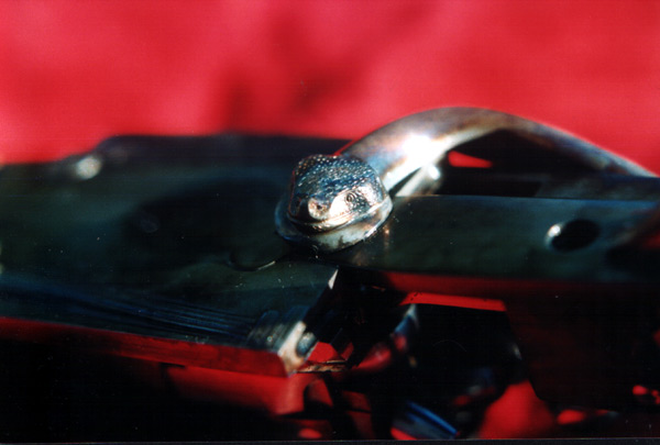 Particolare del fucile